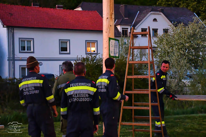 maibaum-203-standard.jpg