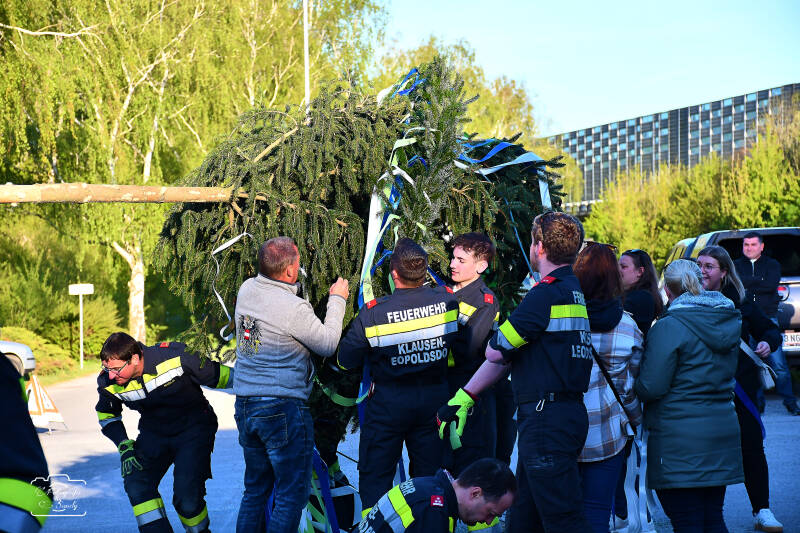 maibaum-23-standard-bh7c6m.jpg