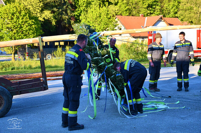 maibaum-24-standard-rn53a7.jpg
