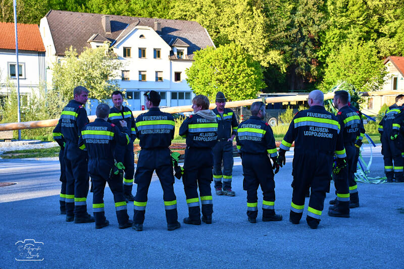 maibaum-29-standard-rrmweu.jpg