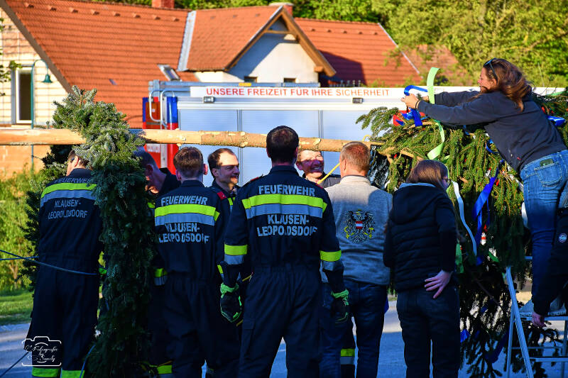 maibaum-31-standard-nffvvd.jpg