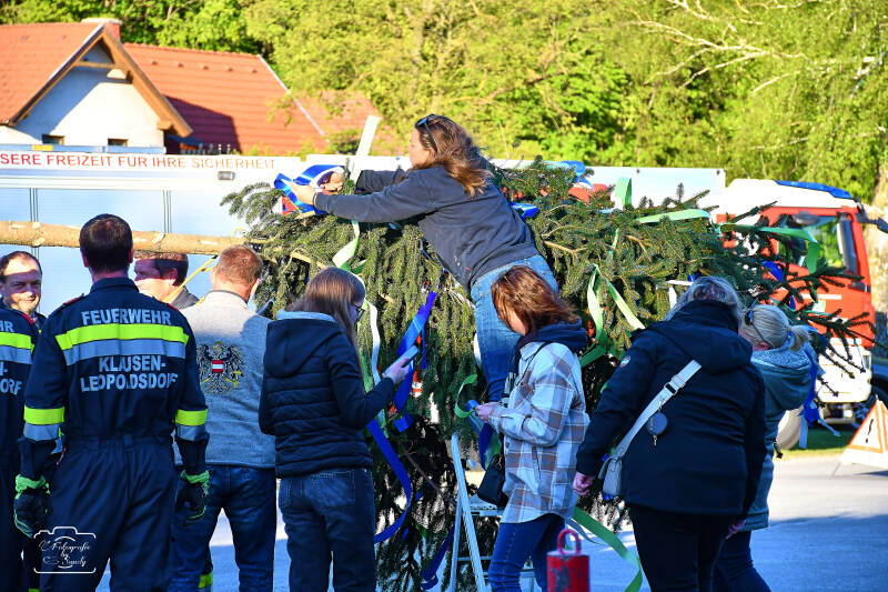 maibaum-32-standard-9f471r.jpg