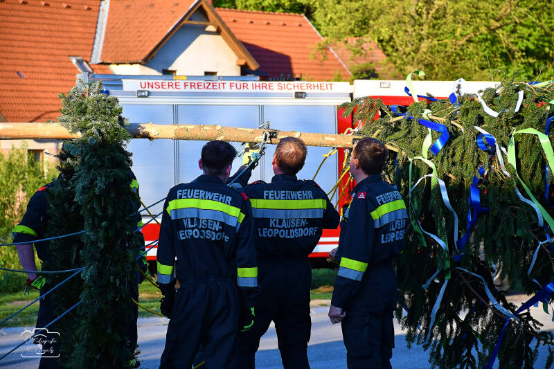 maibaum-35-standard-fpudmr.jpg