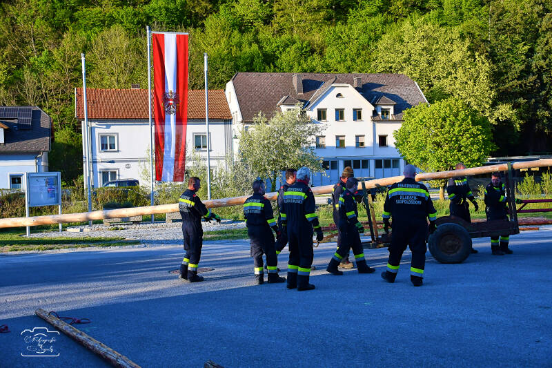 maibaum-38-standard-8clgkr.jpg