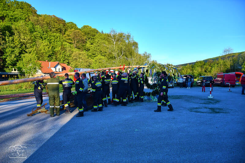 maibaum-42-standard-mm5csd.jpg