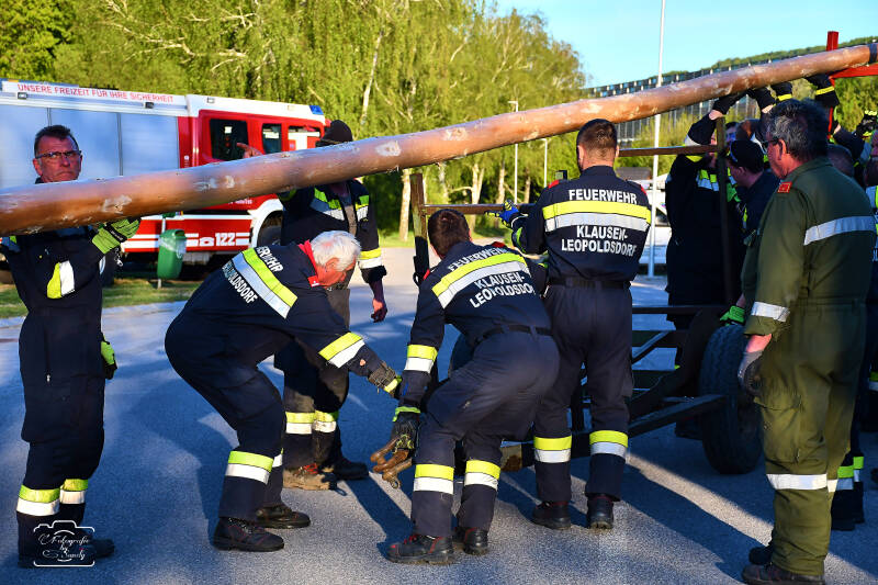 maibaum-47-standard-axdyml.jpg