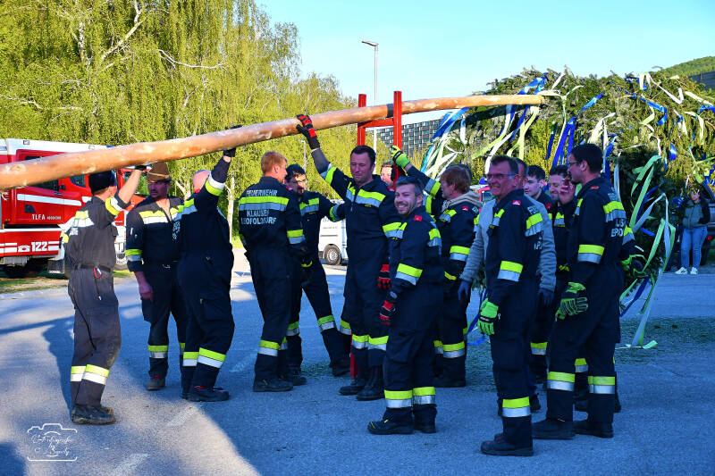 maibaum-49-standard-9e3ktd.jpg
