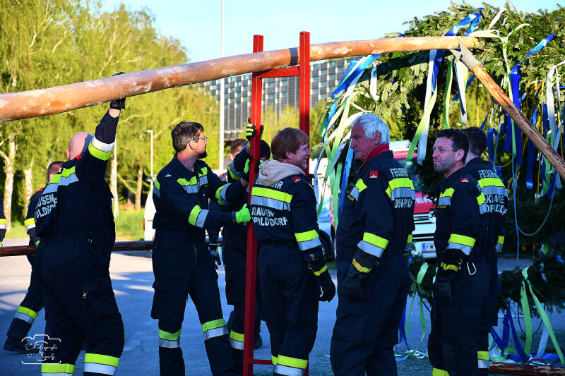 maibaum-51-standard-vs2g1r.jpg