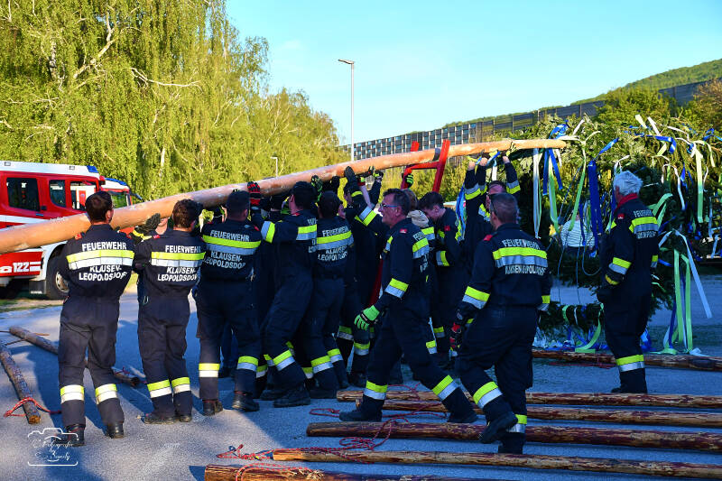 maibaum-56-standard-0stxi6.jpg
