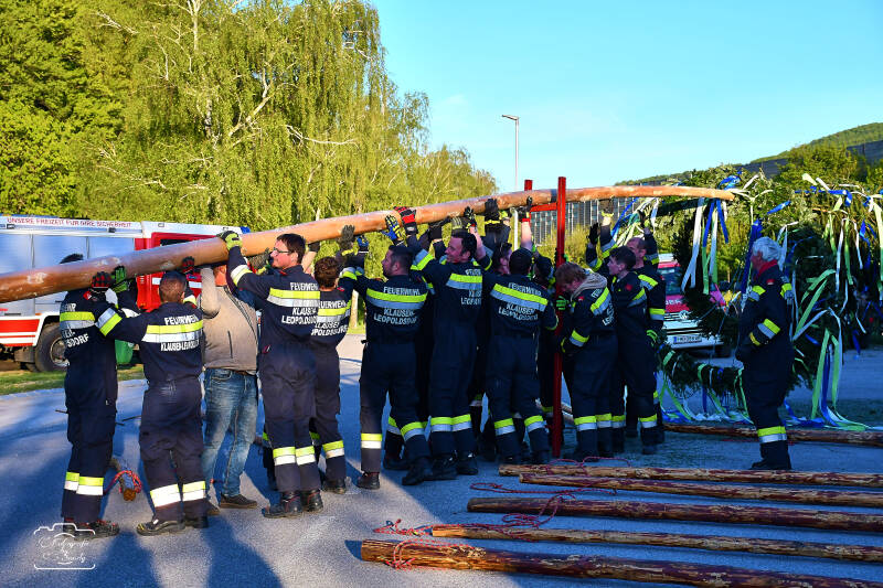 maibaum-59-standard-96edj4.jpg