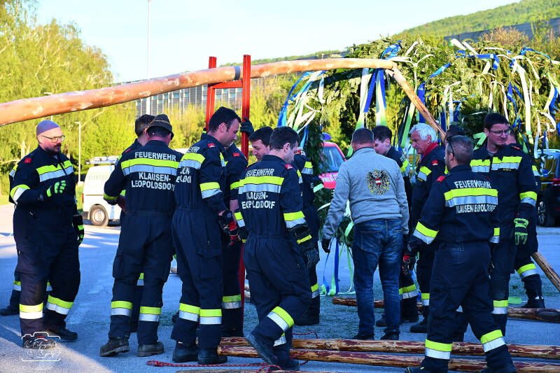 maibaum-60-standard-sdact6.jpg