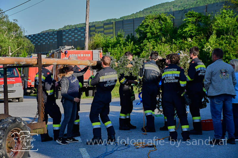 maibaum-60-standard.jpg