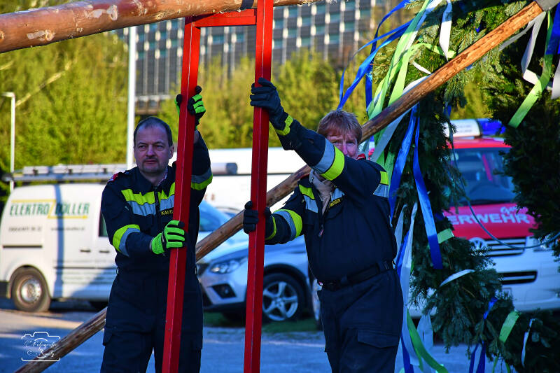 maibaum-61-standard-xblsl3.jpg