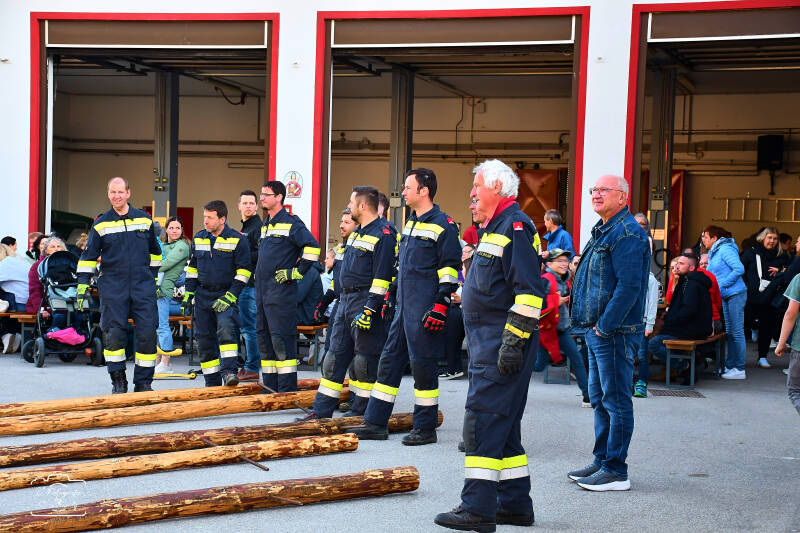 maibaum-64-standard-x4rgqg.jpg