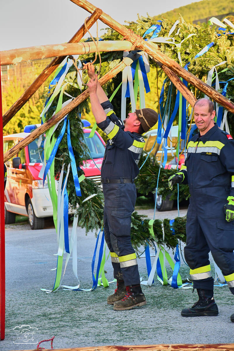 maibaum-69-standard-lgp0p2.jpg