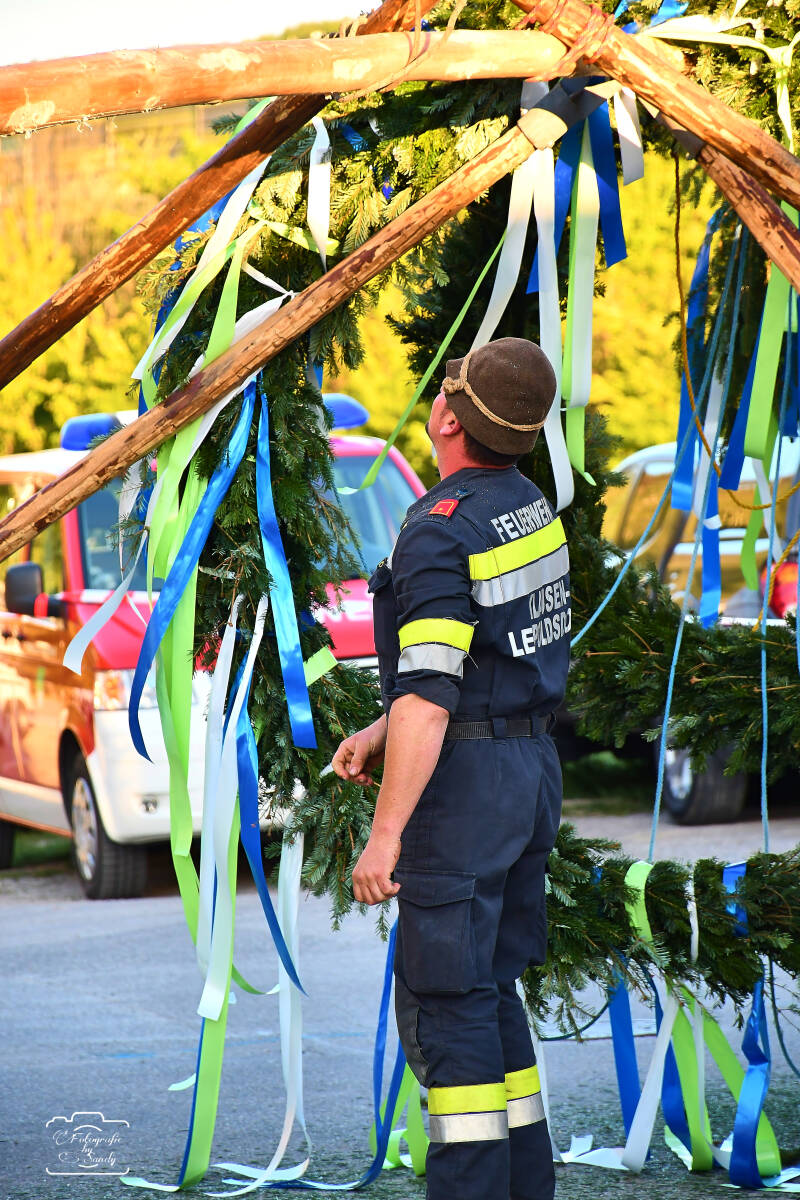 maibaum-71-standard-1ofo4h.jpg
