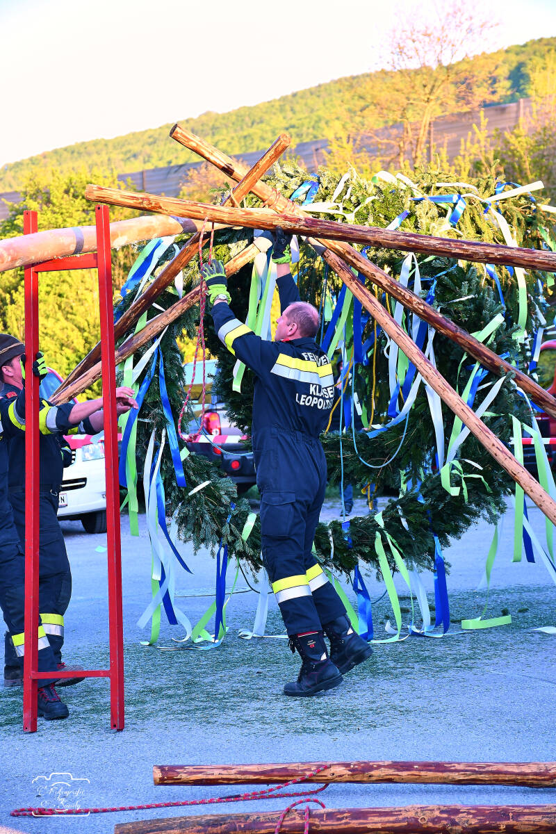 maibaum-73-standard-wq8ise.jpg