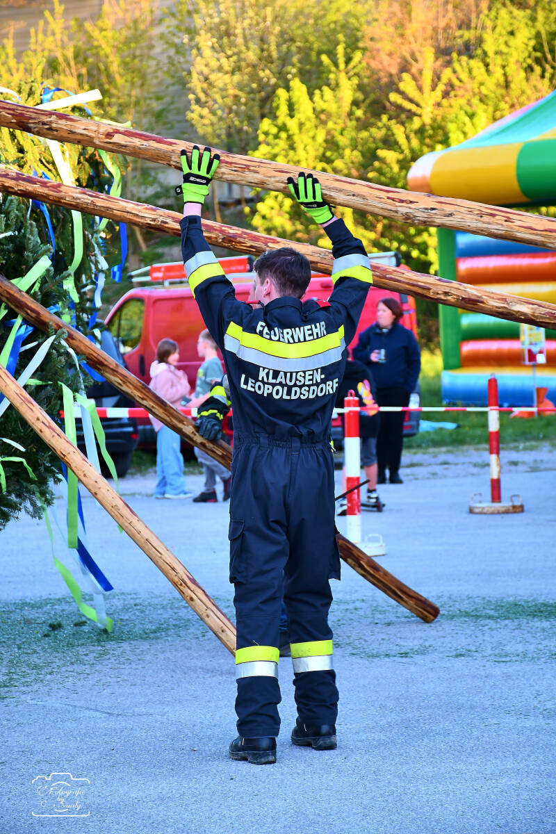 maibaum-77-standard-t6dcnv.jpg