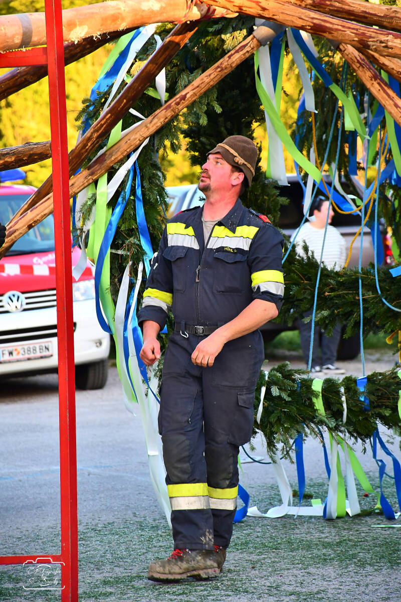 maibaum-78-standard-r9xt70.jpg