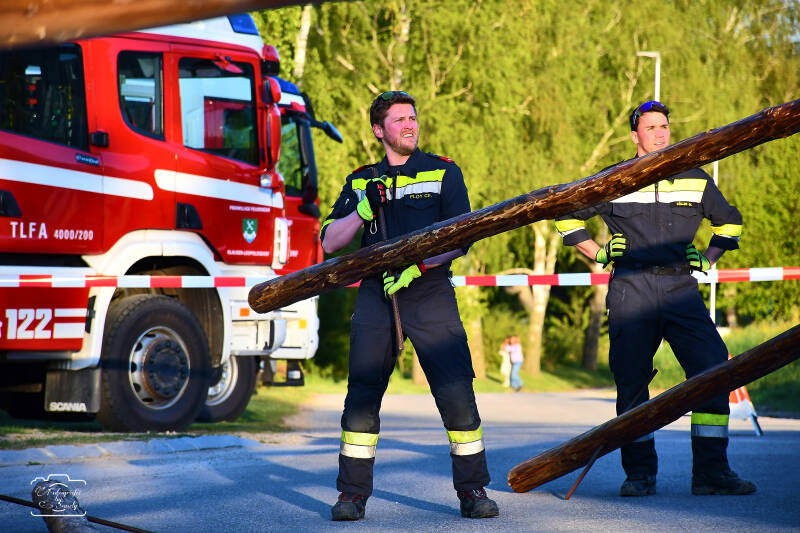 maibaum-80-standard-l78b75.jpg