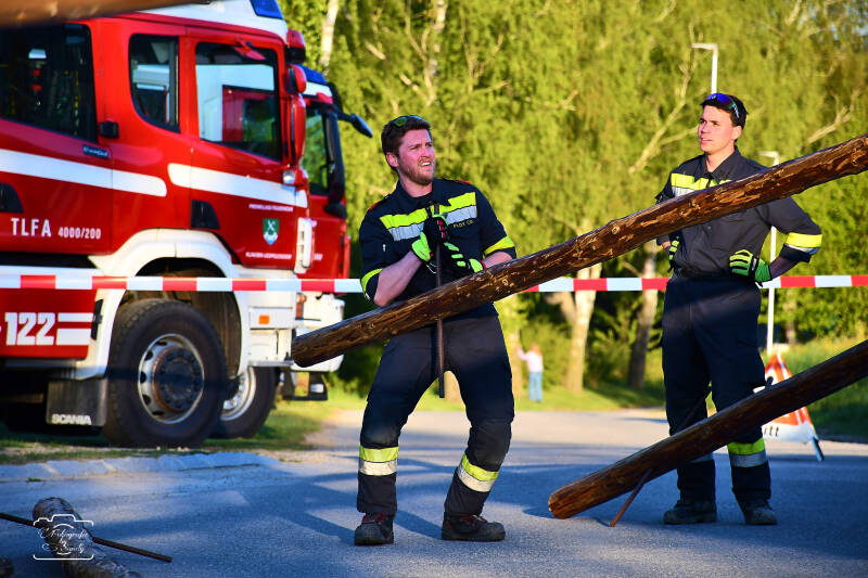 maibaum-81-standard-q21uic.jpg