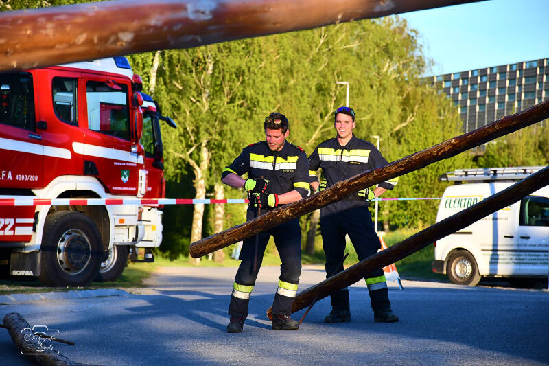 maibaum-82-standard-zsgtye.jpg