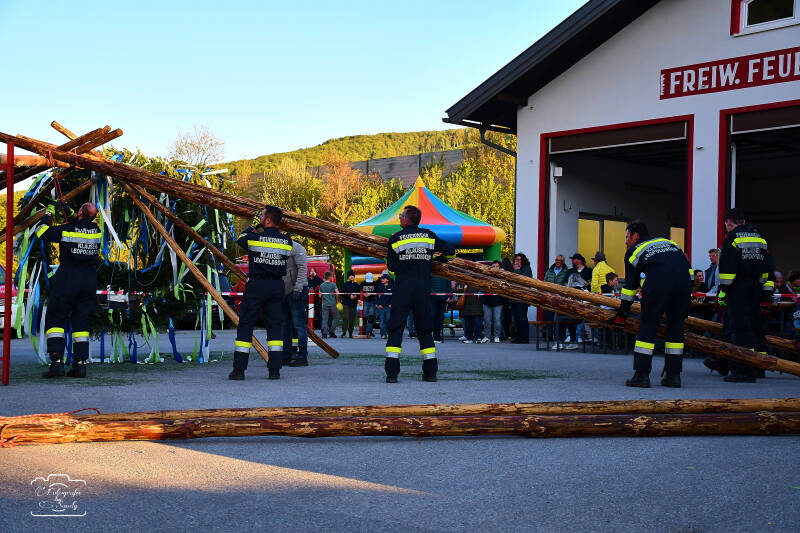 maibaum-83-standard-c0eovp.jpg