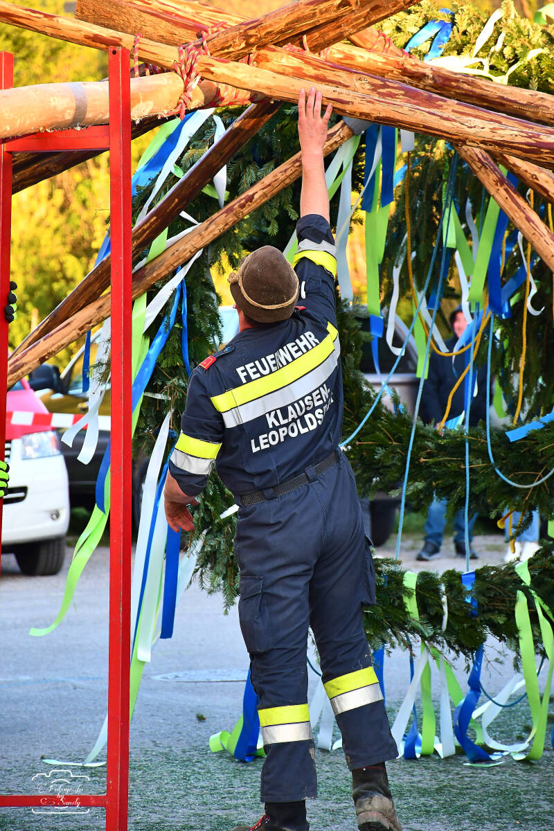 maibaum-84-standard-byh5l1.jpg