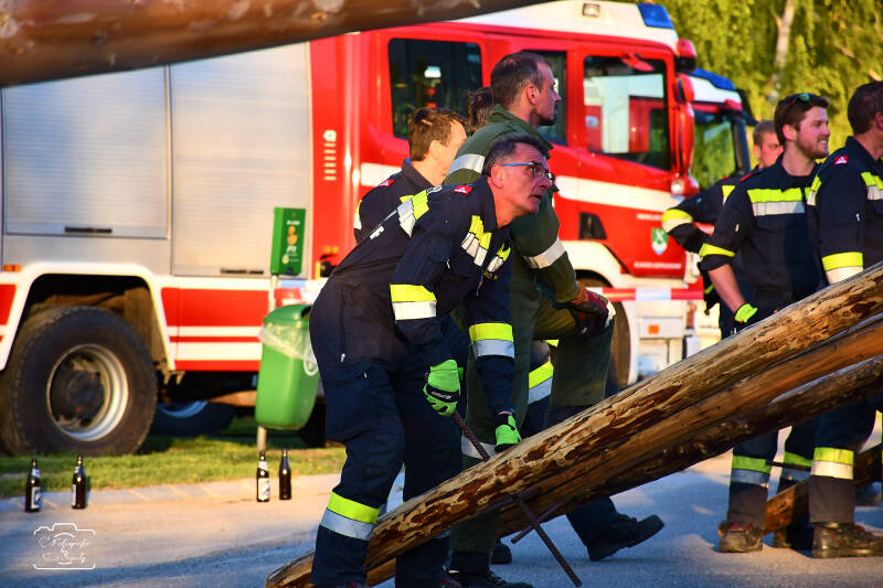 maibaum-87-standard-8uf06x.jpg
