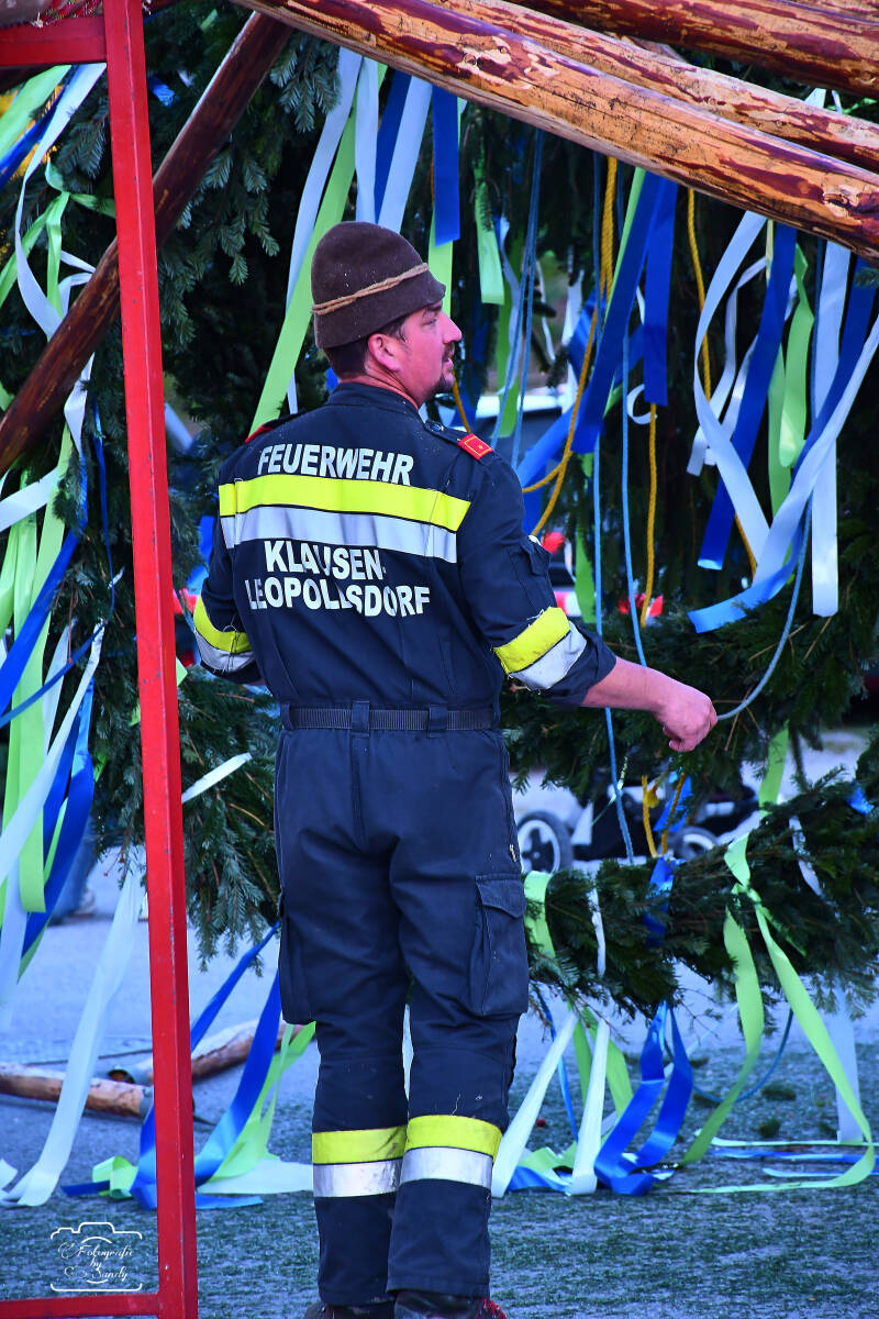 maibaum-89-standard-txwypp.jpg
