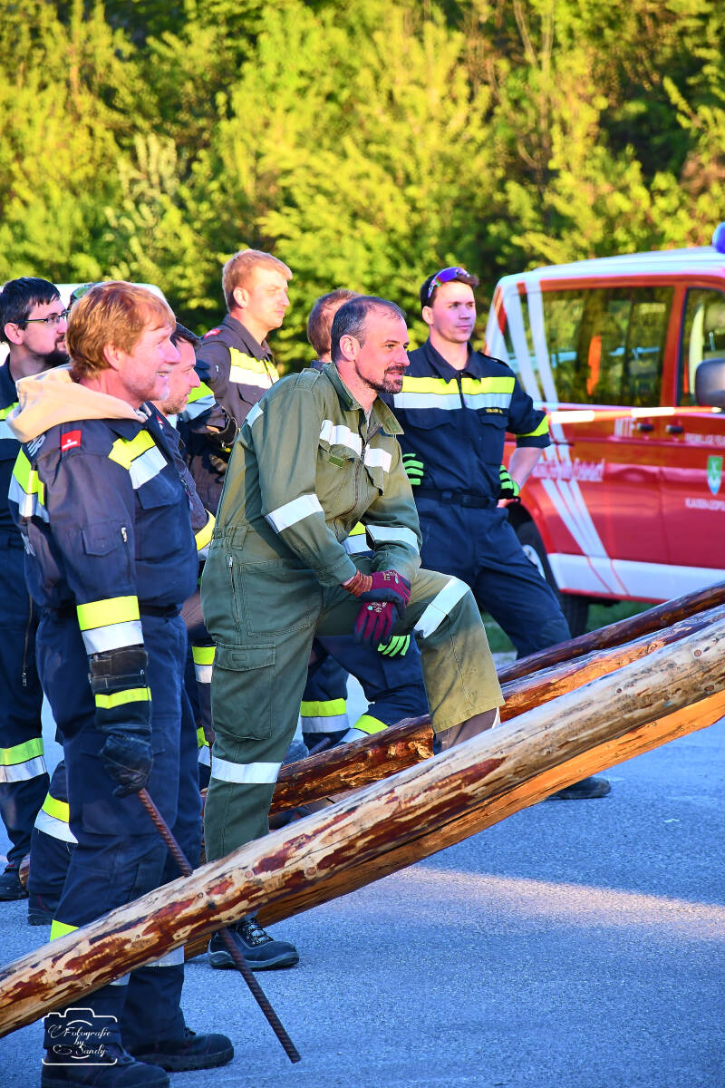maibaum-90-standard-6ydufv.jpg