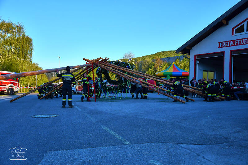 maibaum-91-standard-6mk6b7.jpg
