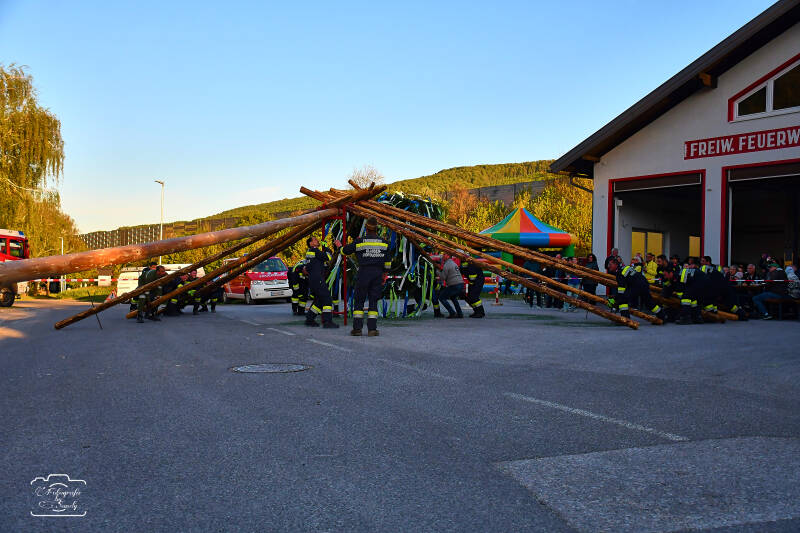 maibaum-93-standard-he9z59.jpg