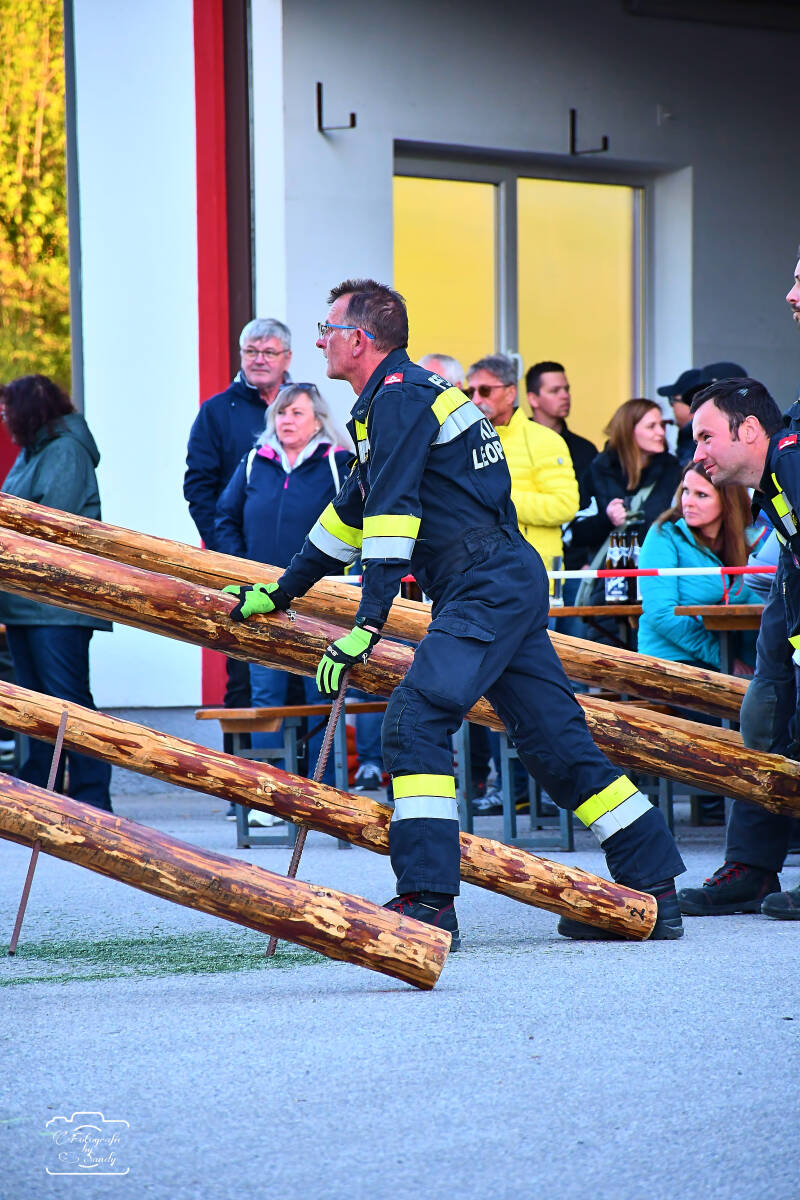 maibaum-95-standard-fgzkh4.jpg