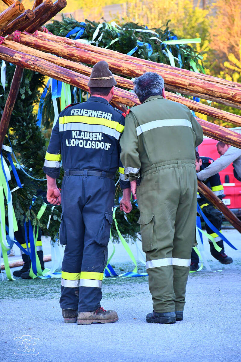 maibaum-97-standard-zu9ium.jpg