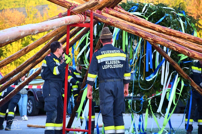 maibaum-98-standard-p8z3bu.jpg