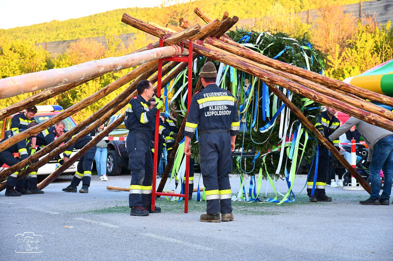 maibaum-99-standard-01m6dk.jpg