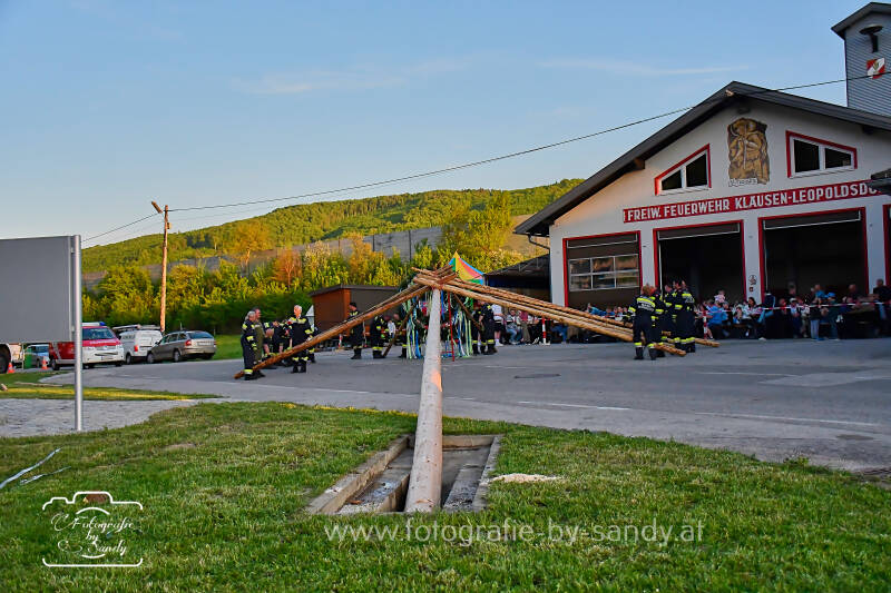 maibaum2025-142-standard.jpg