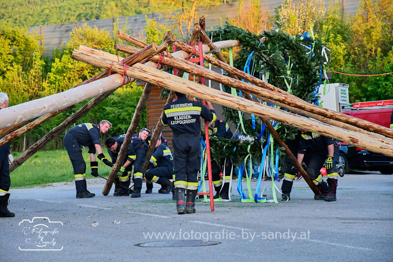 maibaum2025-151-standard.jpg