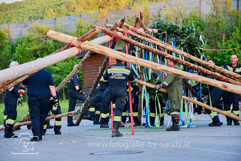 maibaum2025-156-standard.jpg