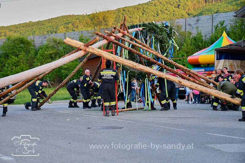 maibaum2025-158-standard.jpg
