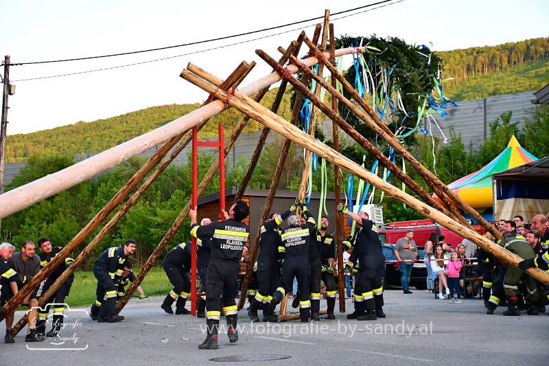 maibaum2025-161-standard.jpg