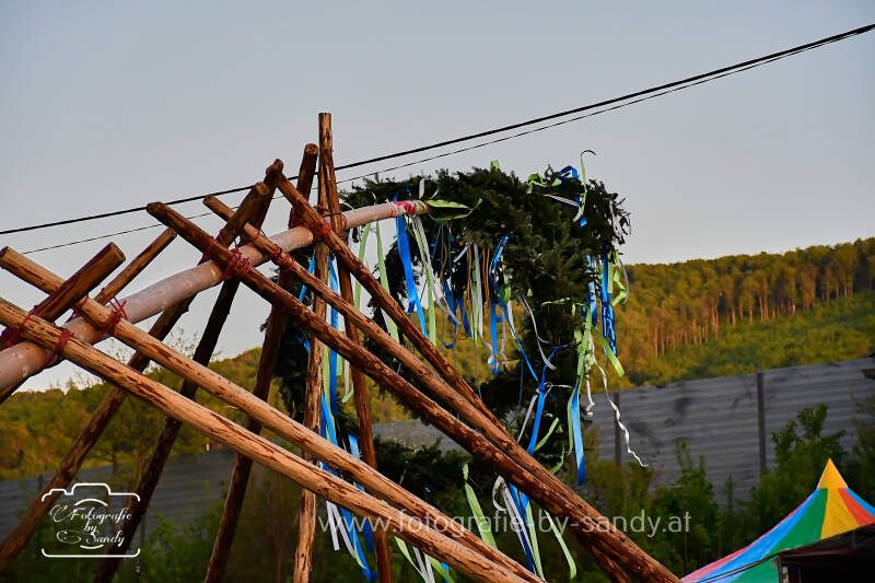 maibaum2025-170-standard.jpg