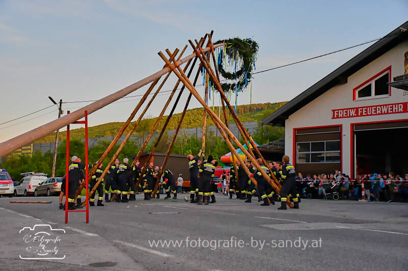 maibaum2025-182-standard.jpg