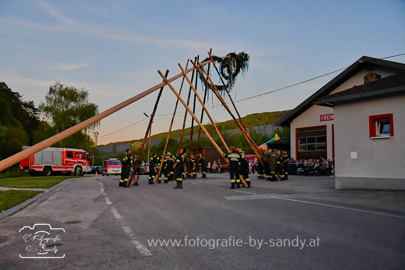 maibaum2025-197-standard.jpg