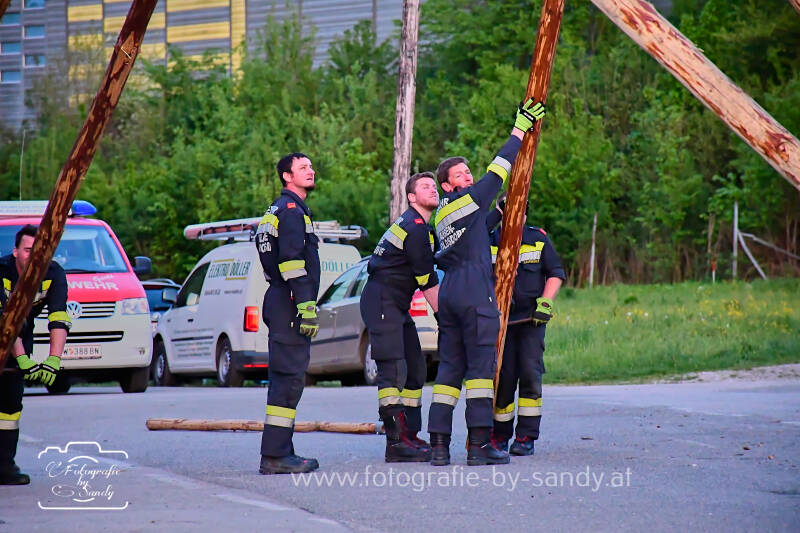 maibaum2025-221-standard.jpg