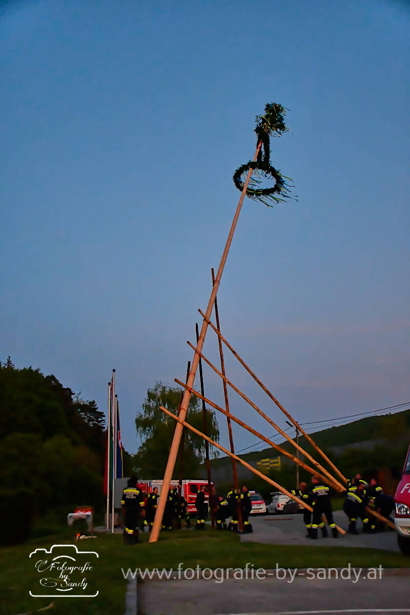 maibaum2025-242-standard.jpg