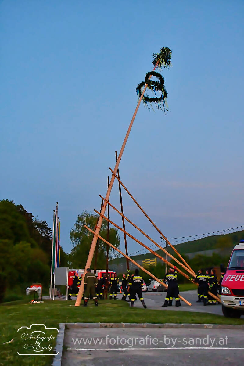 maibaum2025-244-standard.jpg