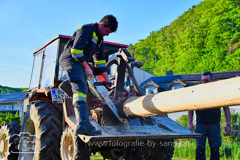 maibaum2025-51-standard.jpg