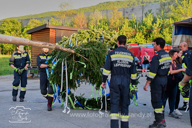 maibaum2025-53-standard.jpg